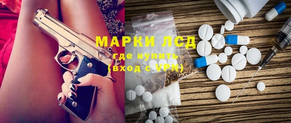 хмурый Абаза