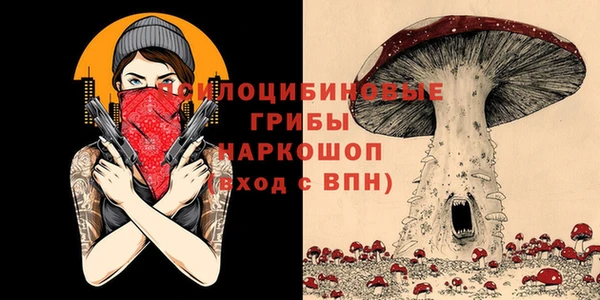 крисы Покровск