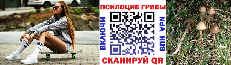 Псилоцибиновые грибы Psilocybine cubensis Лангепас